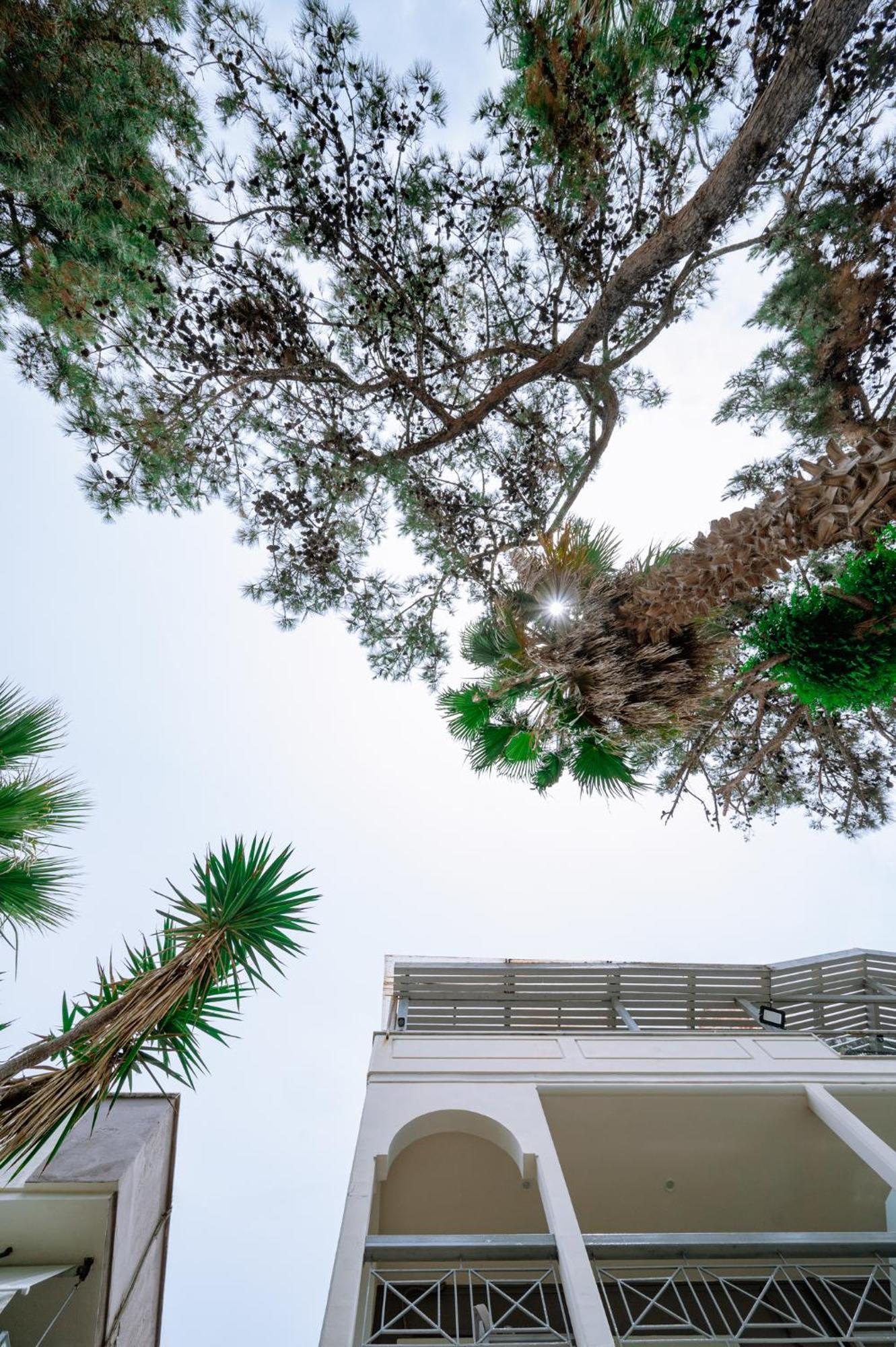 Κτήμα Παπαοικονόμου Διαμέρισμα Ποτός Εξωτερικό φωτογραφία